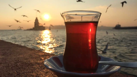 Türk Çayı, Çay Yolu (Tea Way) Projesi ile Avrupa Yolunda